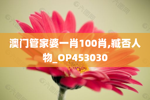 澳门管家婆一肖100肖,臧否人物_OP453030