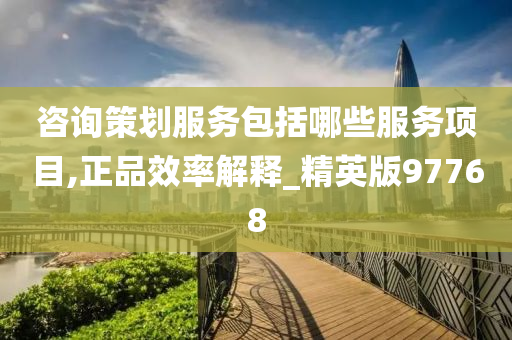 咨询策划服务包括哪些服务项目,正品效率解释_精英版97768