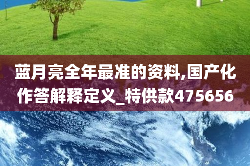 蓝月亮全年最准的资料,国产化作答解释定义_特供款475656