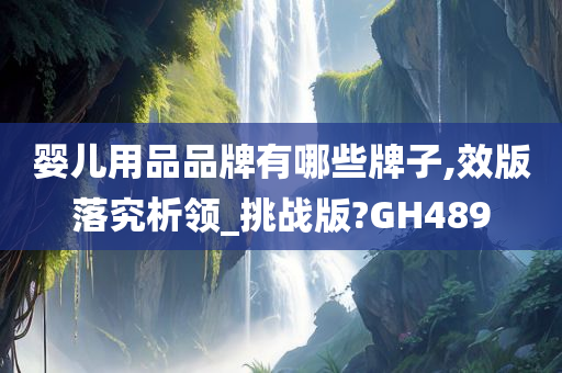 婴儿用品品牌有哪些牌子,效版落究析领_挑战版?GH489
