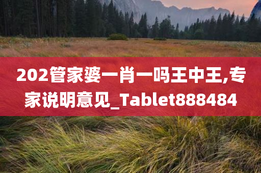 202管家婆一肖一吗王中王,专家说明意见_Tablet888484