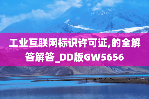 工业互联网标识许可证,的全解答解答_DD版GW5656