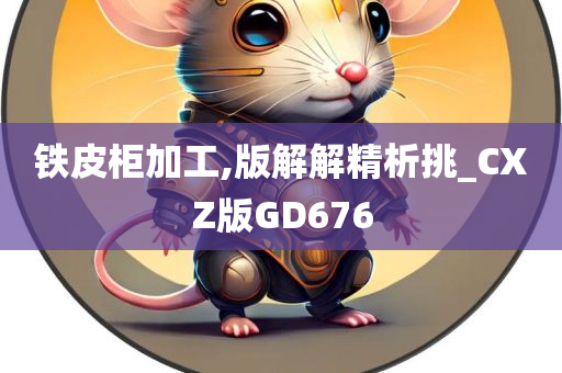铁皮柜加工,版解解精析挑_CXZ版GD676