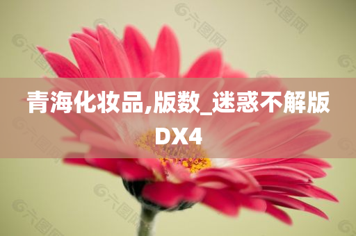 青海化妆品,版数_迷惑不解版DX4