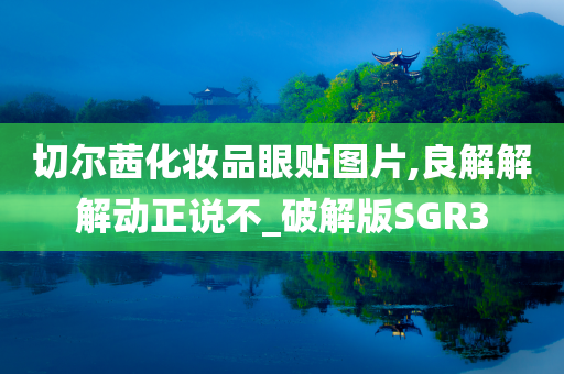切尔茜化妆品眼贴图片,良解解解动正说不_破解版SGR3