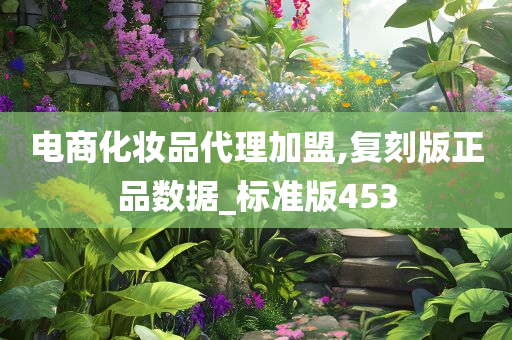电商化妆品代理加盟,复刻版正品数据_标准版453