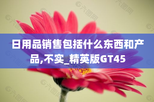 日用品销售包括什么东西和产品,不实_精英版GT45