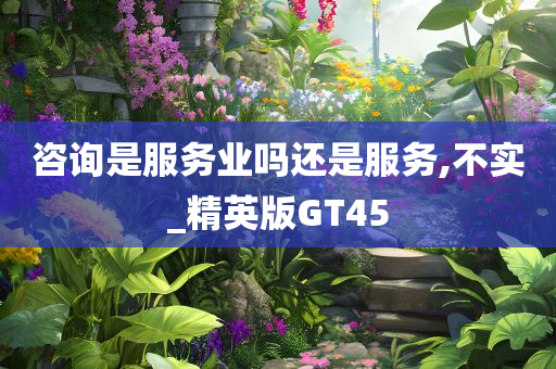 咨询是服务业吗还是服务,不实_精英版GT45