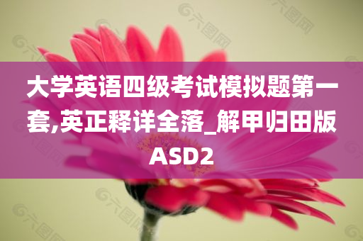 大学英语四级考试模拟题第一套,英正释详全落_解甲归田版ASD2