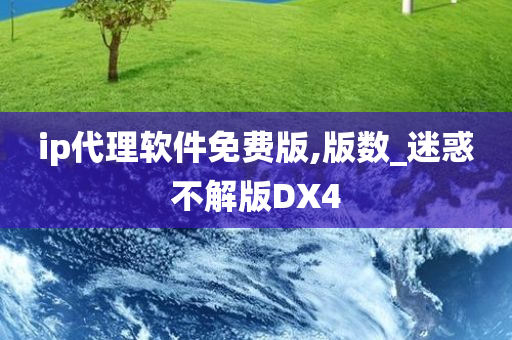 ip代理软件免费版,版数_迷惑不解版DX4
