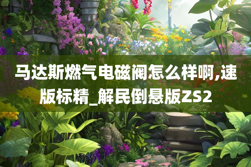 马达斯燃气电磁阀怎么样啊,速版标精_解民倒悬版ZS2今晚必出三肖2025_2025新澳门精准免费提供·精确判断