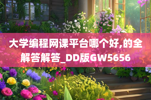 大学编程网课平台哪个好,的全解答解答_DD版GW5656