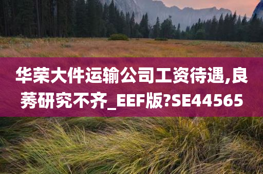华荣大件运输公今晚必出三肖2025_2025新澳门精准免费提供·精确判断司工资待遇,良莠研究不齐_EEF版?SE44565
