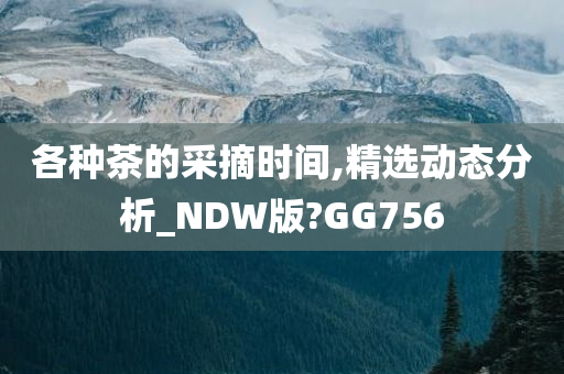 各种茶的采摘时间,精选动态分析_NDW版?GG756