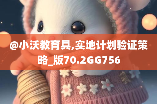@小沃教育具,实地计划验证策略_版70.2GG756