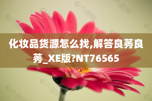 化妆品货源怎么找,解答良莠良莠_XE版?NT76565