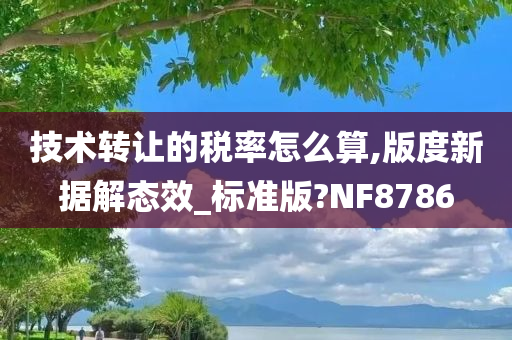 技术转让的税率今晚必出三肖2025_2025新澳门精准免费提供·精确判断怎么算,版度新据解态效_标准版?NF8786