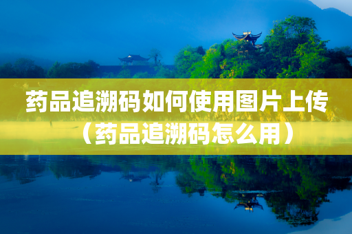 药品追溯码如何使用图片上传（药品追溯码怎么用）