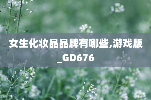 女生化妆品品牌有哪些,游戏版_GD676