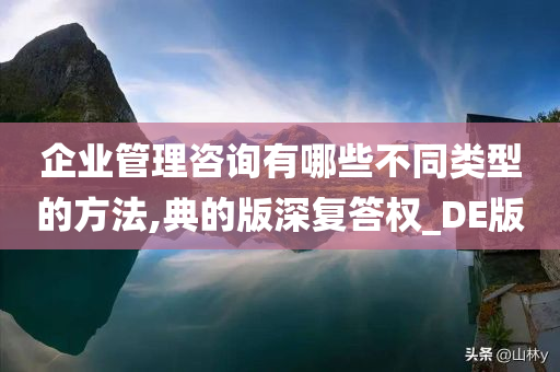 企业管理咨询有哪些不同类型的方法,典的版深复答权_DE版