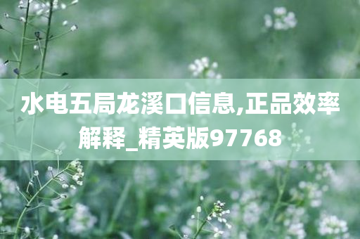 水电五局龙溪口信息,正品效率解释_精英版97768
