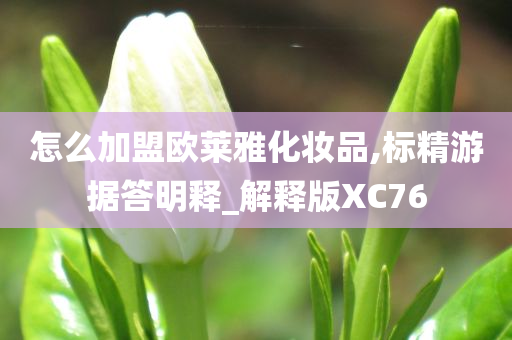 怎么加盟欧莱雅化妆品,标精游据答明释_解释版XC76