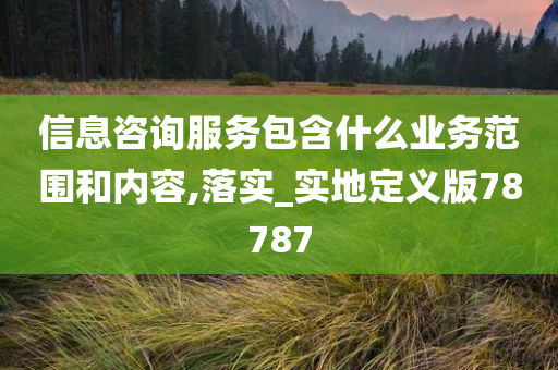 信息咨询服务包含什么业务范围和内容,落实_实地定义版78787