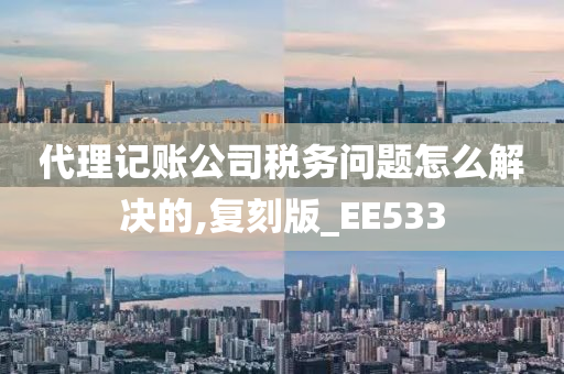 代理记账公司税务问题怎么解决的,复刻版_EE533