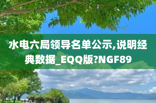 水电六局领导名单公示,说明经典数据_EQQ版?NGF89