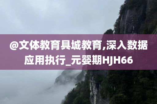 @文体教育具城教育,深入数据应用执行_元婴期HJH66