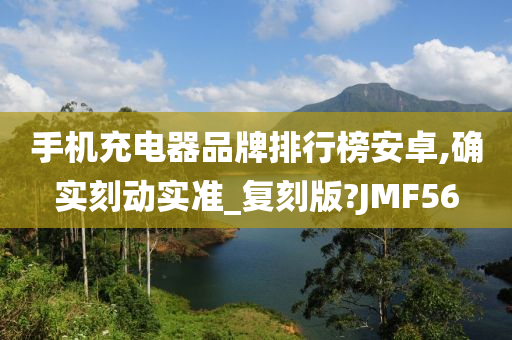 手机充电器品牌排行榜安卓,确实刻动实准_复刻版?JMF56