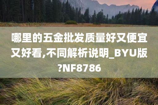 哪里的五金批发质量好又便宜又好看,不同解析说明_BYU版?NF8786
