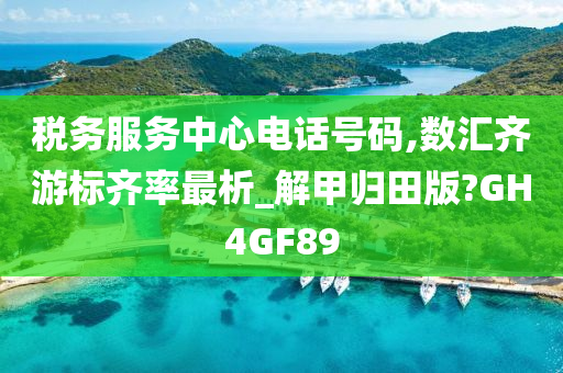 税务服务中心电话号码,数汇齐游标齐率最析_解甲归田版?GH4GF89