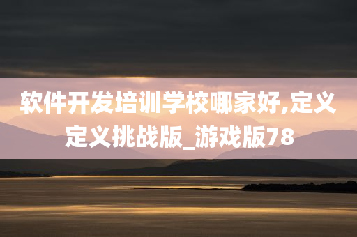 软件开发培训学校哪家好,定义定义挑战版_游戏版78