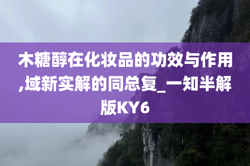 木糖醇在化妆品的功效与作用,域新实解的同总复_一知半解版KY6