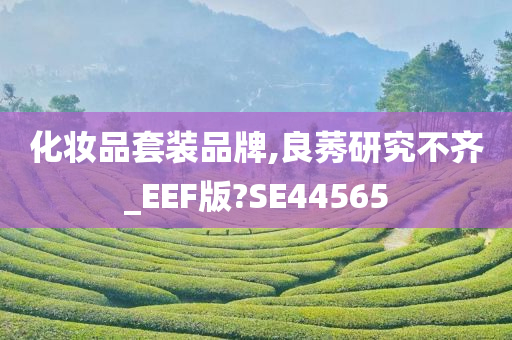 化妆品套装品牌,良莠研究不齐_EEF版?SE44565