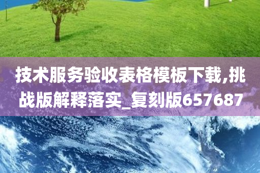 技术服务验收表格模板下载,挑战版解释落实_复刻版657687