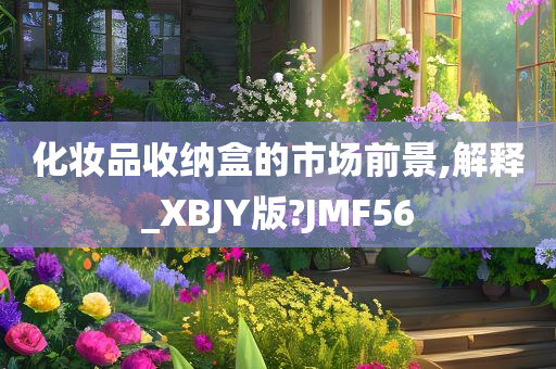 化妆品收纳盒的市场前景,解释_XBJY版?JMF56