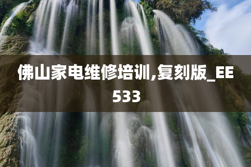 佛山家电维修培训,复刻版_EE533