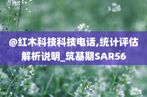 @红木科技科技电话,统计评估解析说明_筑基期SAR56