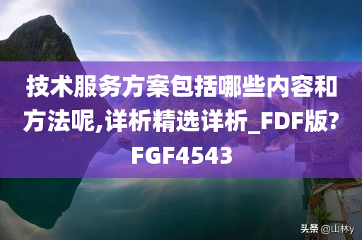 技术服务方案包括哪些内容和方法呢,详析精选详析_FDF版?FGF4543