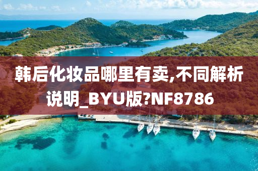 韩后化妆品哪里有卖,不同解析说明_BYU版?NF8786