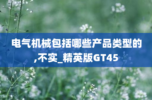 电气机械包括哪些产品类型的,不实_精英版GT45