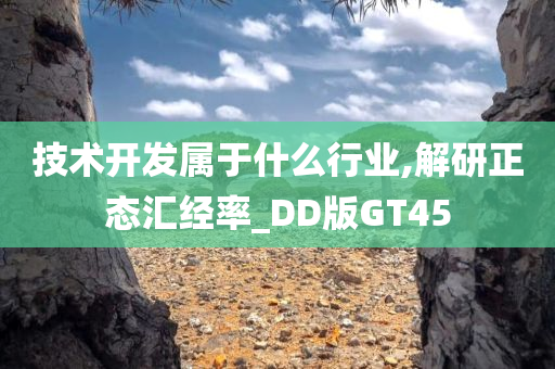 技术开发属于什么行业,解研正态汇经率_DD版GT45