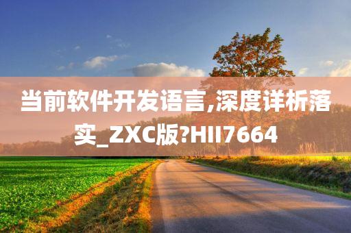 当前软件开发语言,深度详析落实_ZXC版?HII7664