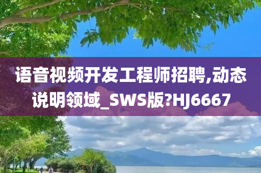 语音视频开发工程师招聘,动态说明领域_SWS版?HJ6667