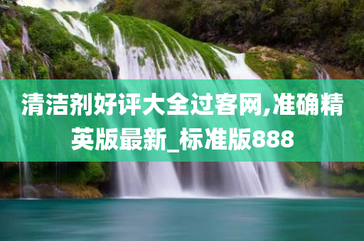 清洁剂好评大全过客网,准确精英版最新_标准版888