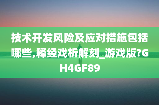 技术开发风险及应对措施包括哪些,释经戏析解刻_游戏版?GH4GF89