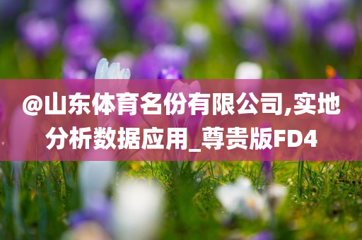 @山东体育名份有限公司,实地分析数据应用_尊贵版FD4