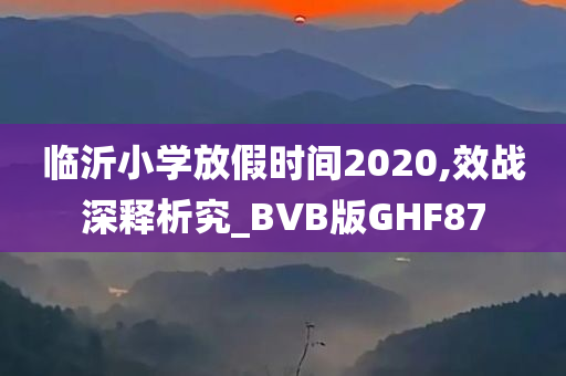 临沂小学放假时间2020,效战深释析究_BVB版GHF87